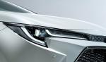 Toyota Corolla Hybrid WxB 2019 года (JP)